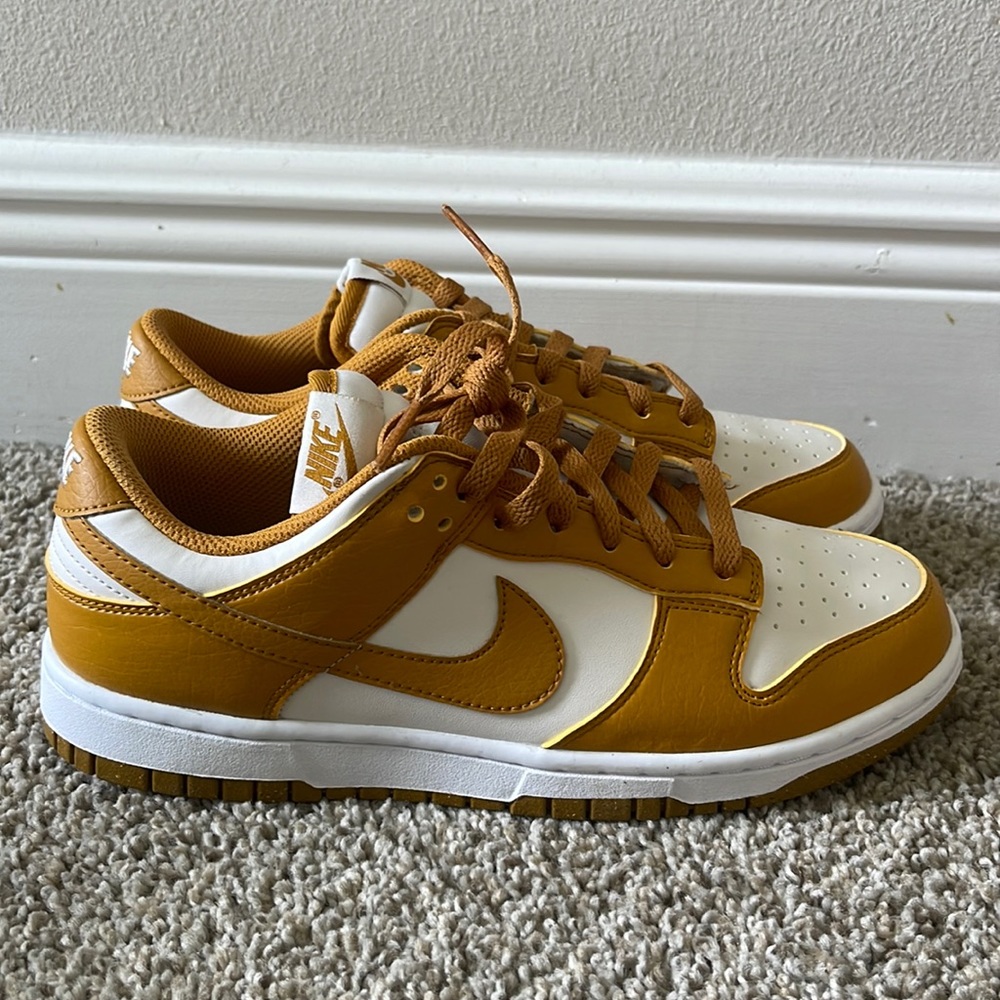 Nike dunk low next nature